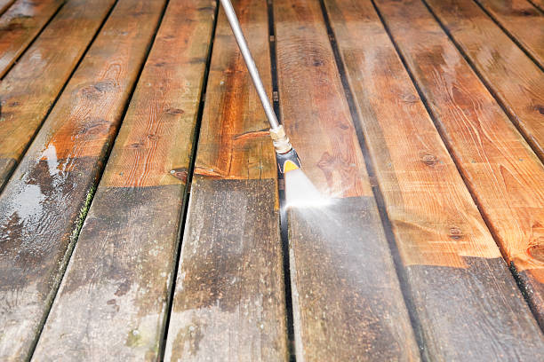 Best Dumpster Area Cleaning  in Reno, TX